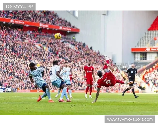 曼城3_0完胜利物浦，杜库奠定胜局，蓝月亮闪耀主场