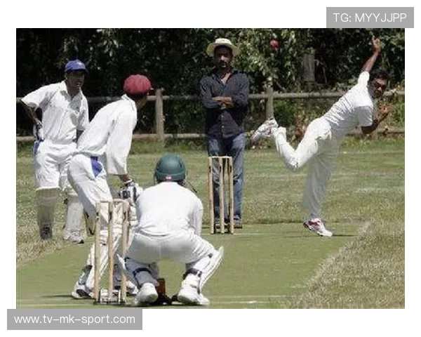 板球节奏控制比拼成比赛胜负分水岭
