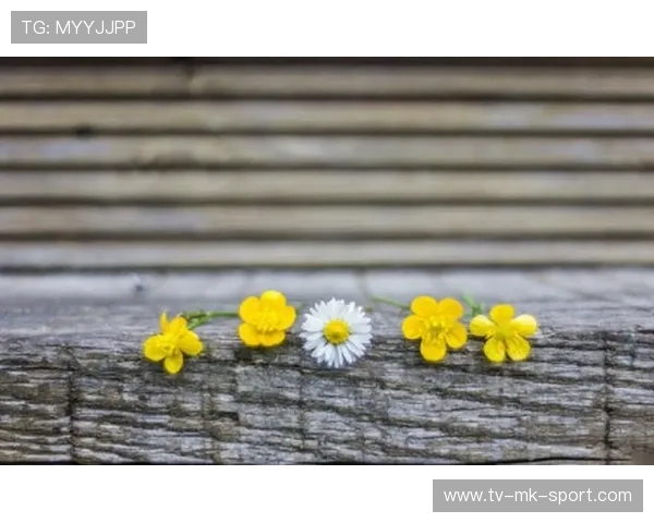 Bussola 精神与理性的平衡赋予球队智慧